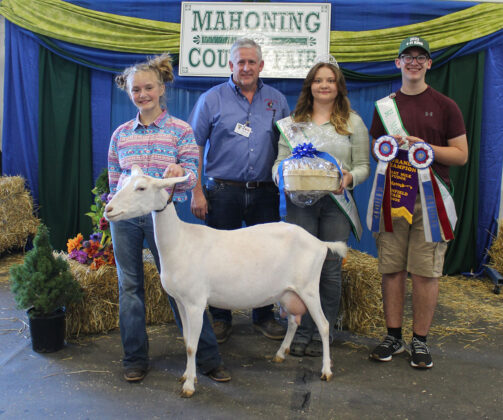 Grand Champion Milk Fudge Goat