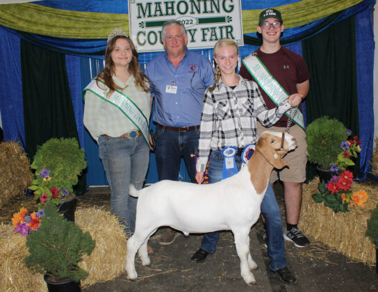 Grand Champion Goat