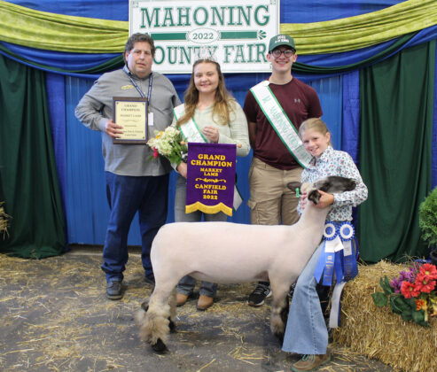 Grand Champion Lamb