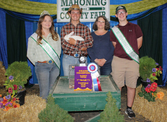 Grand Champion Fryer Rabbit