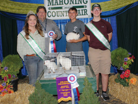 Grand Champion Meat Pen Rabbits