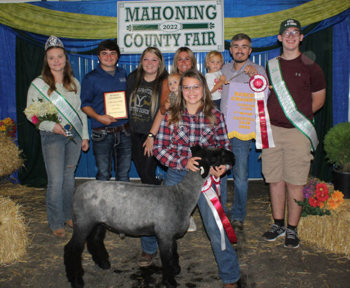 Reserve Champion Carcass Lamb