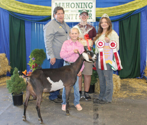Reserve Champion Milk Fudge Goat