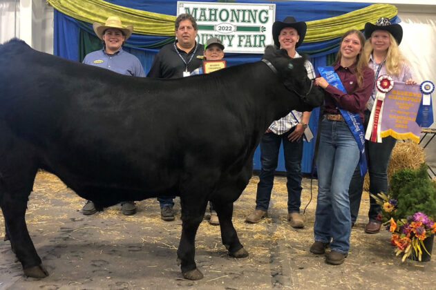 Reserve Champion Market Beef