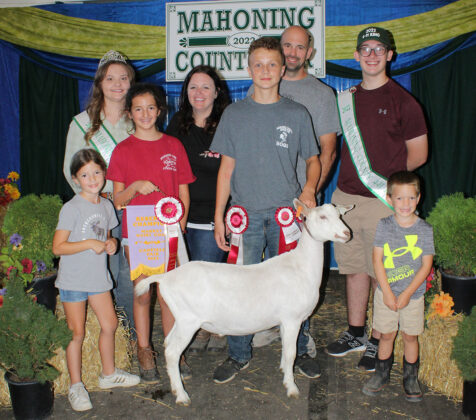 Reserve Champion Dairy Goat