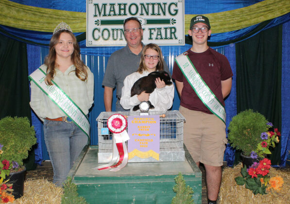 Reserve Champion Fryer Rabbits