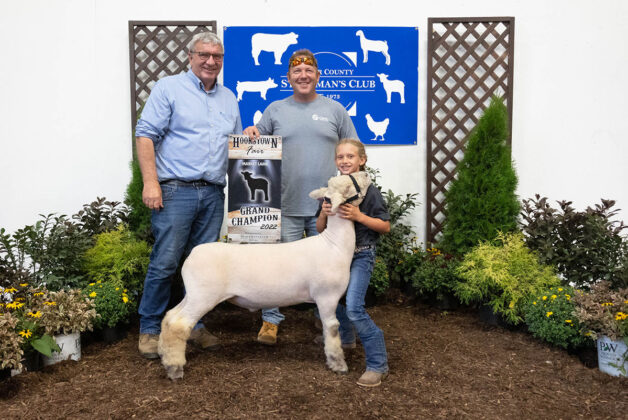 Grand Champion Lamb