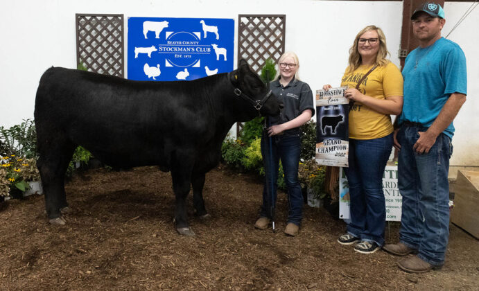 Grand Champion Steer