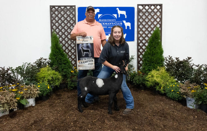 Reserve Champion Goat