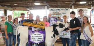 Grand Champion Dairy Beef Feeder