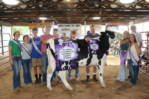 Grand Champion Dairy Steer