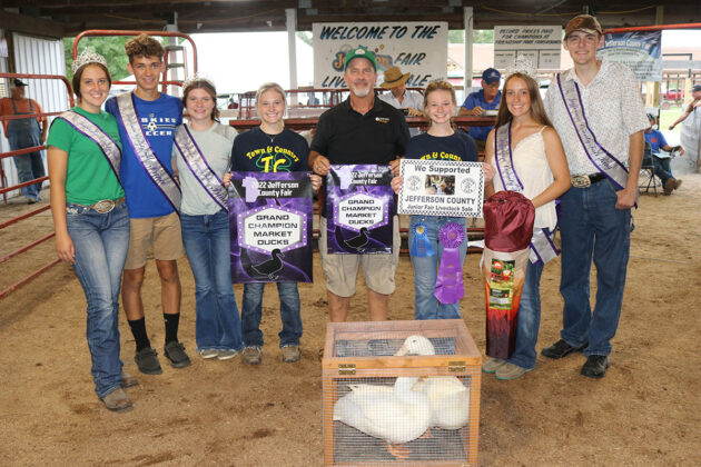 Grand Champion Duck