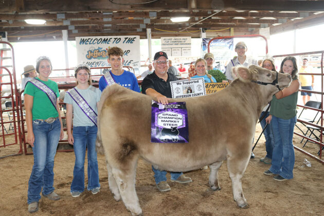 Grand Champion Steer