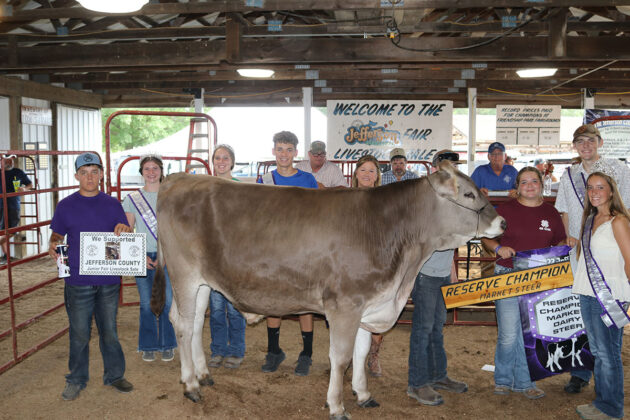 Reserve Champion Dairy Steer