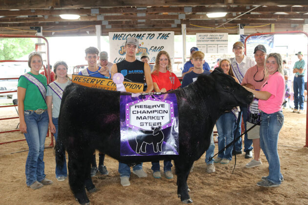 Reserve Champion Steer