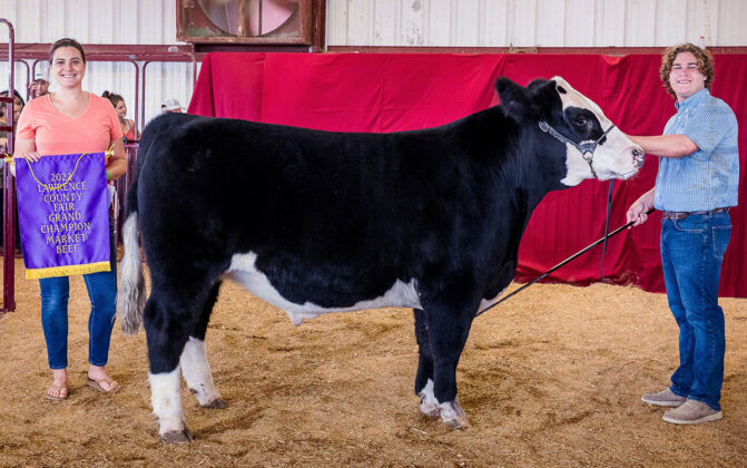 Grand Champion Beef