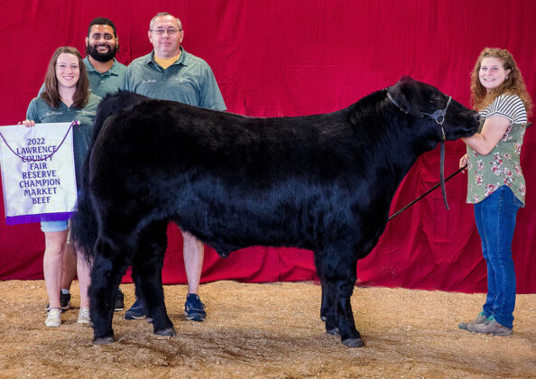 Reserve Champion Market Beef
