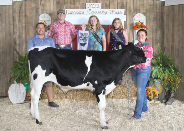 Grand Champion Dairy Feeder