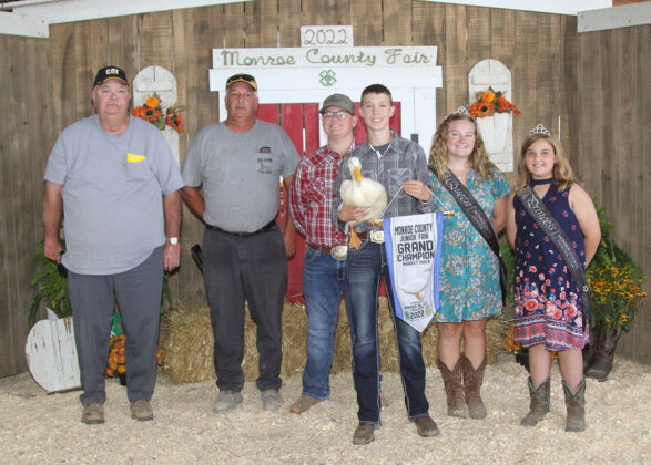 Grand Champion Market Duck