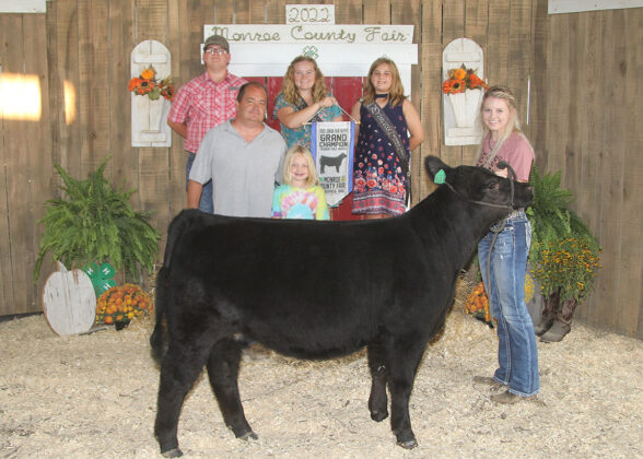 Grand Champion Feeder Calf Heifer