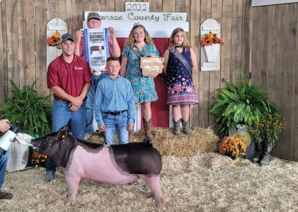 Grand Champion Market Hog