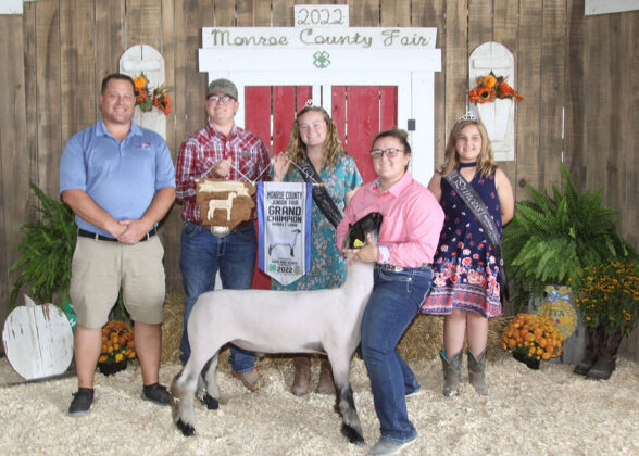 Grand Champion Market Lamb
