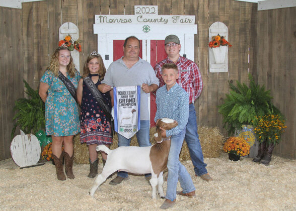 Grand Champion Meat Doe