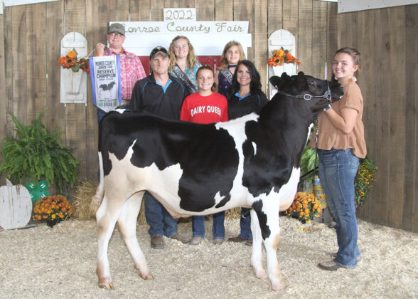 Reserve Champion Dairy Feeder