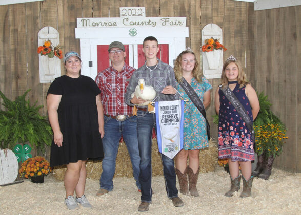 Reserve Champion Market Duck