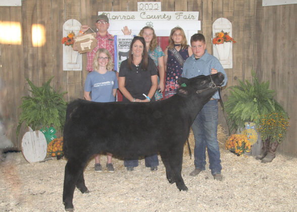 Reserve Champion Feeder Calf Heifer