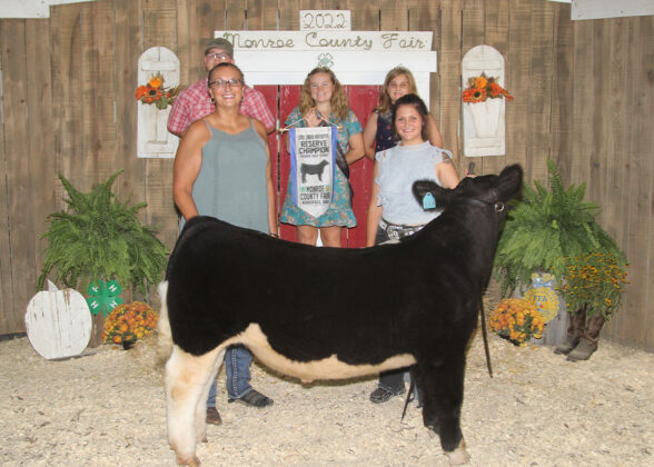 Reserve Champion Feeder Calf Steer