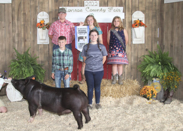 Reserve Champion Market Hog