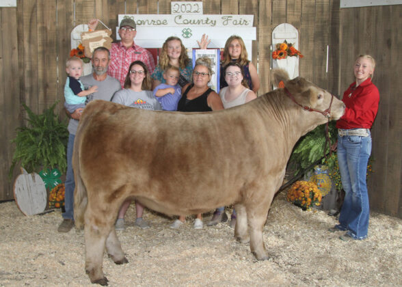 Reserve Champion Market Steer