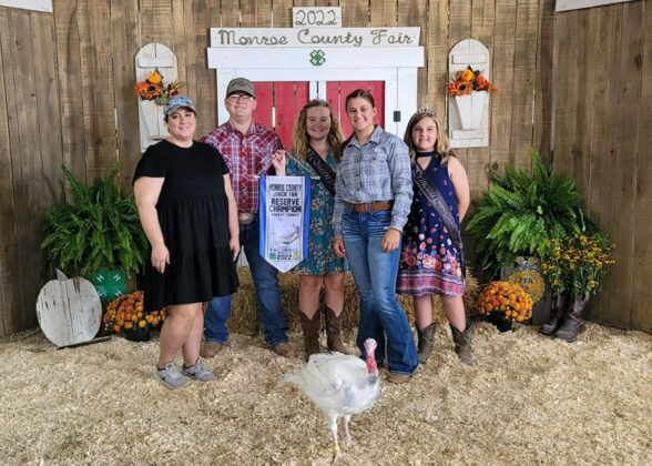 Reserve Champion Turkey