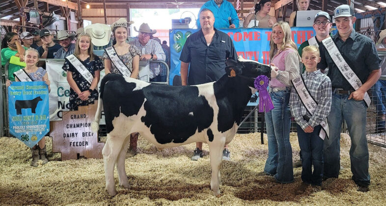 Grand Champion Dairy Feeder