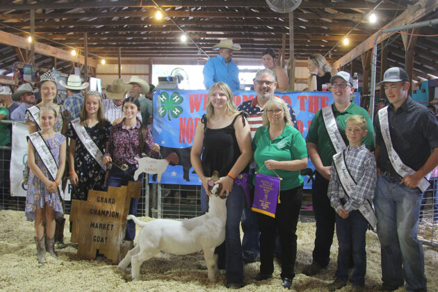 Grand Champion Market Goat