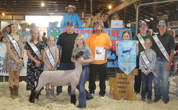 Grand Champion Lamb