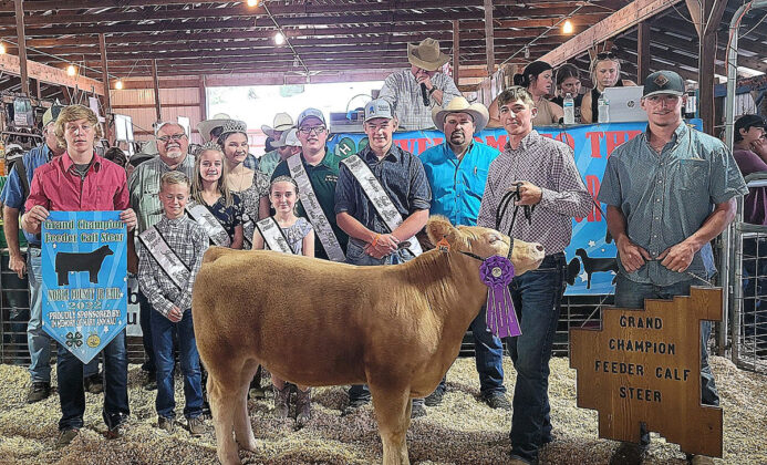 Grand Champion Feeder Calf Steer