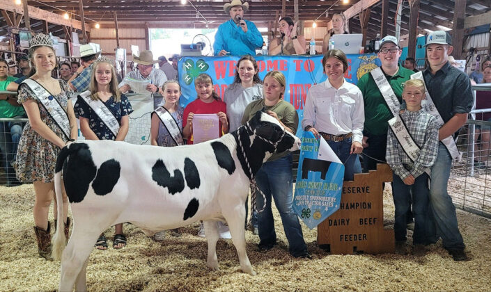 Reserve Champion Dairy Feeder
