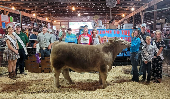 Grand Champion Market Beef