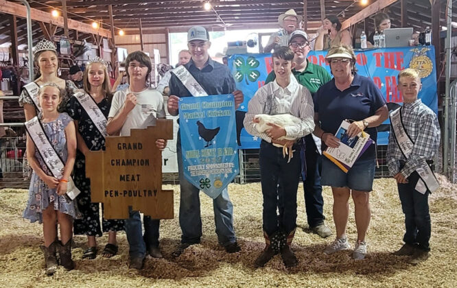 Grand Champion Market Chickens