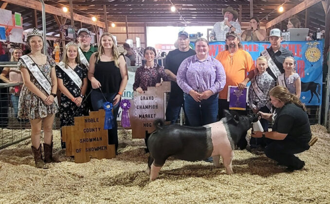 Grand Champion Market Hog