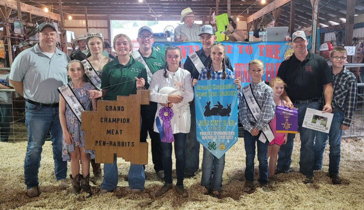 Grand Champion Market Rabbits