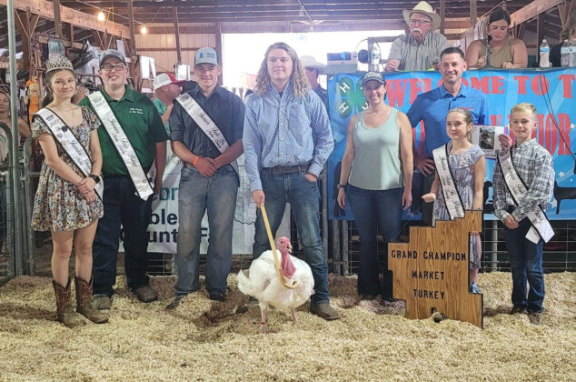 Reserve Champion Market Turkey