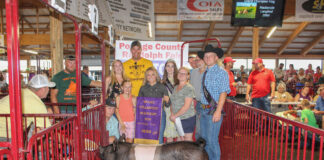 Grand Champion Hog