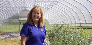 A woman stands in a high tunnel next to growing eucalyptus.