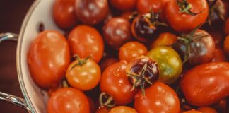 tomatoes