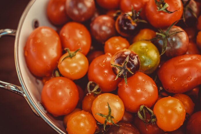 tomatoes tomatoes