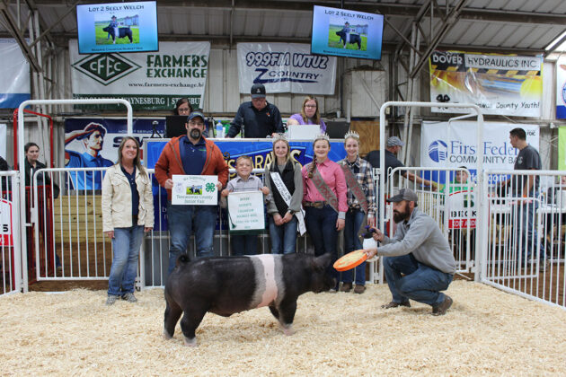 Reserve Champion Hog