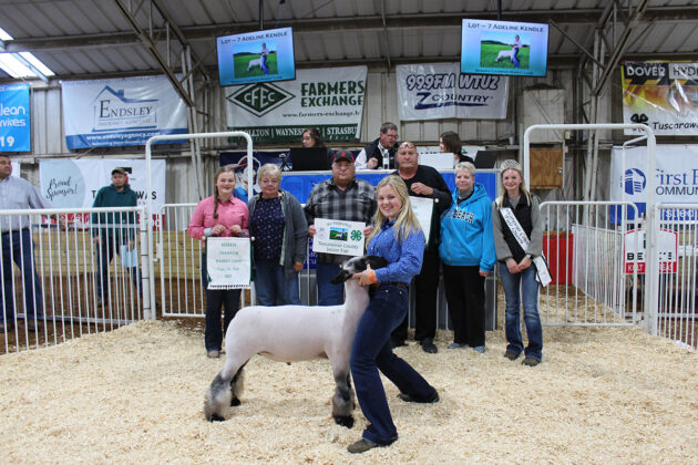 Reserve Champion Lamb